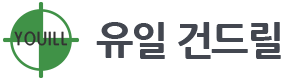 유일건드릴